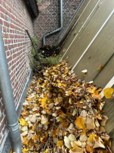 IMG-20241025-WA0020